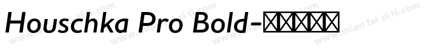 Houschka Pro Bold字体转换